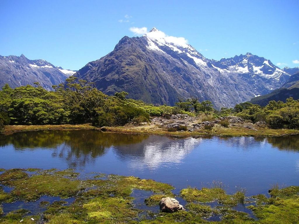 escorted tours of new zealand